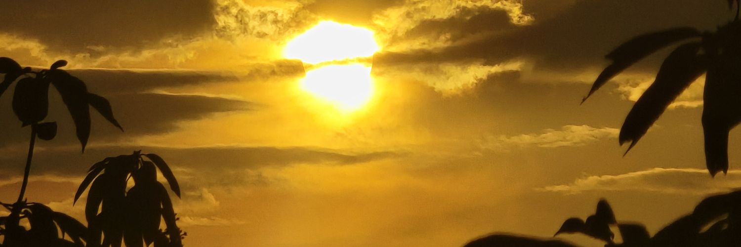 mchyrelle's profile banner image