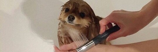 Cdizzl4shizzle's profile banner image
