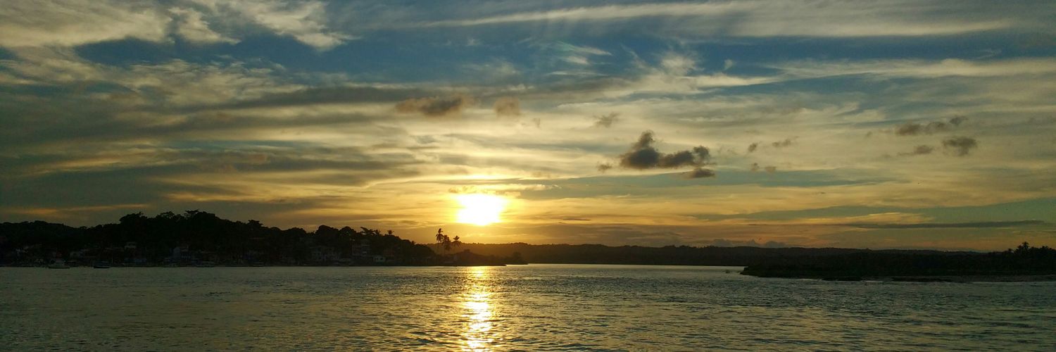 PollyBarreto's profile banner image