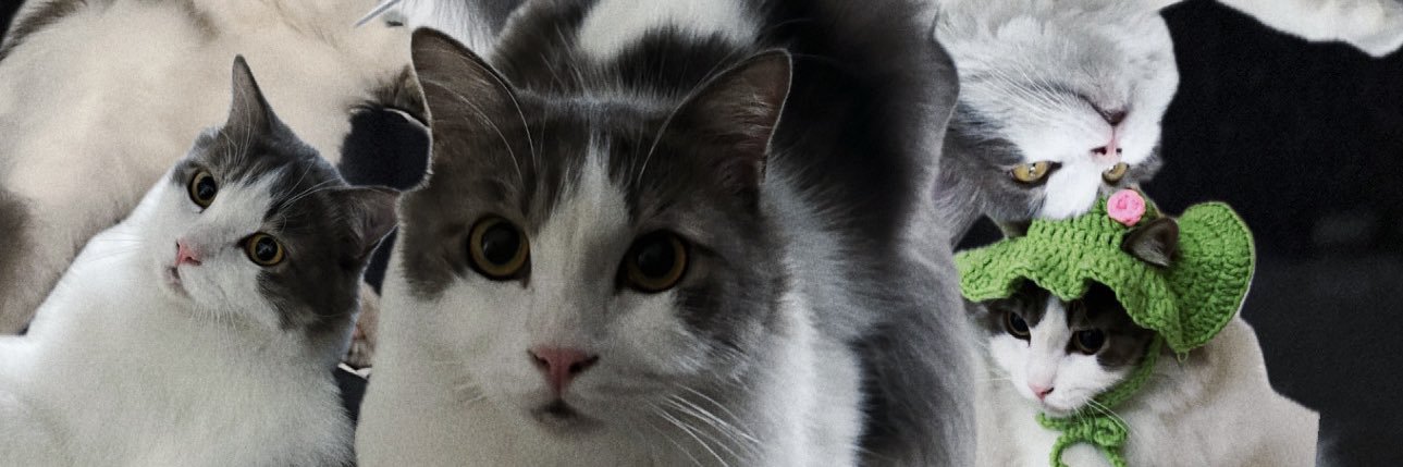 lulursln's profile banner image