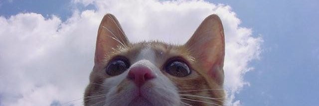 わくわくスナイパー ٩( 'ω' )و banner