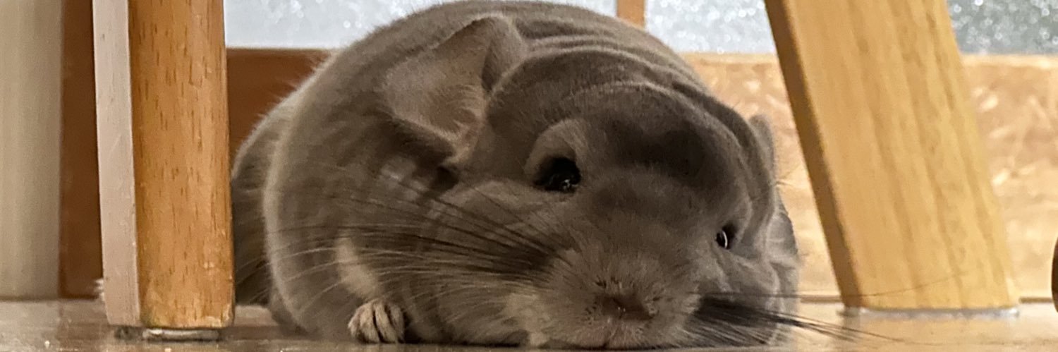 a___taro's profile banner image
