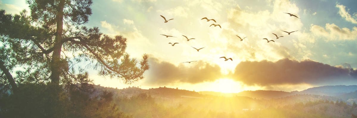 _maaare's profile banner image