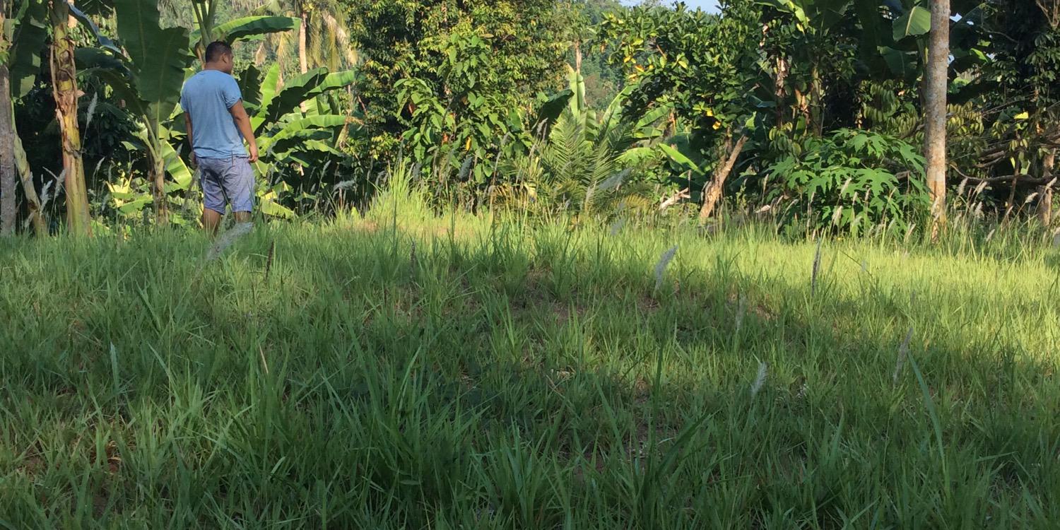 jaimenia_'s profile banner image