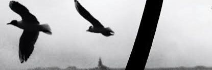 aydintsksn's profile banner image