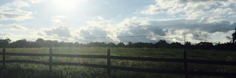 BrileyWills's profile banner image