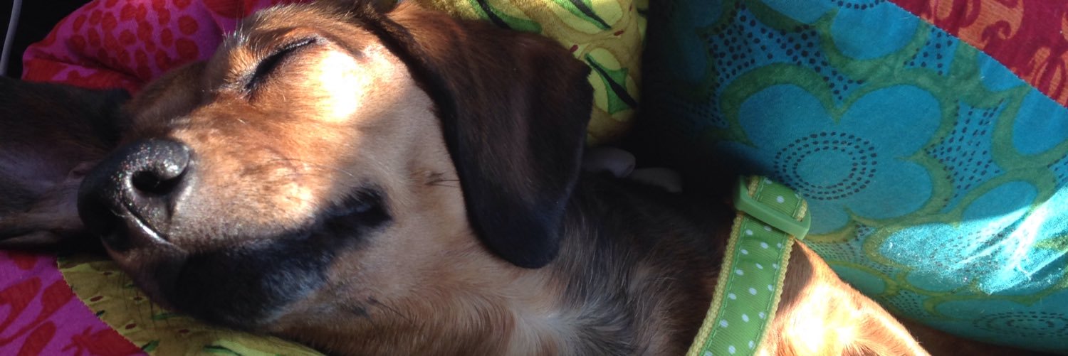 BananaInPjams's profile banner image