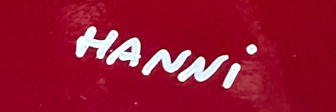 hanni feed banner