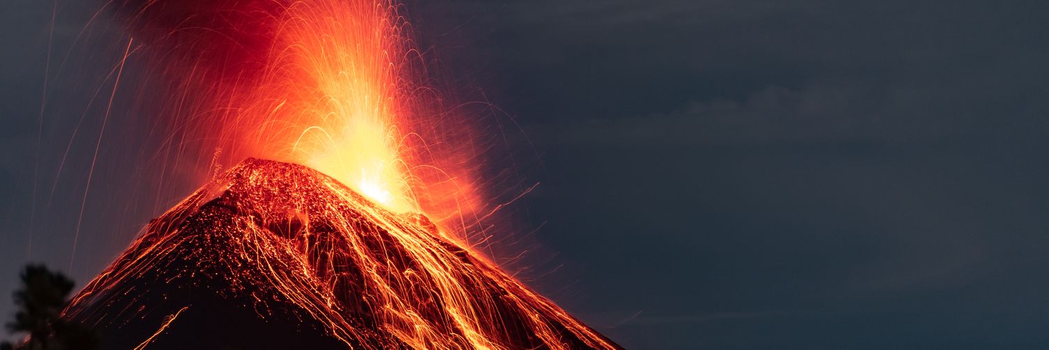 Arbustico02's profile banner image