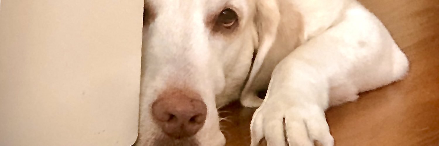 kubi6939's profile banner image