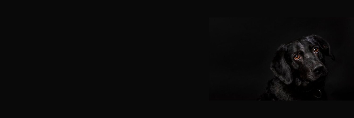 Susana Cardoso Pereira banner