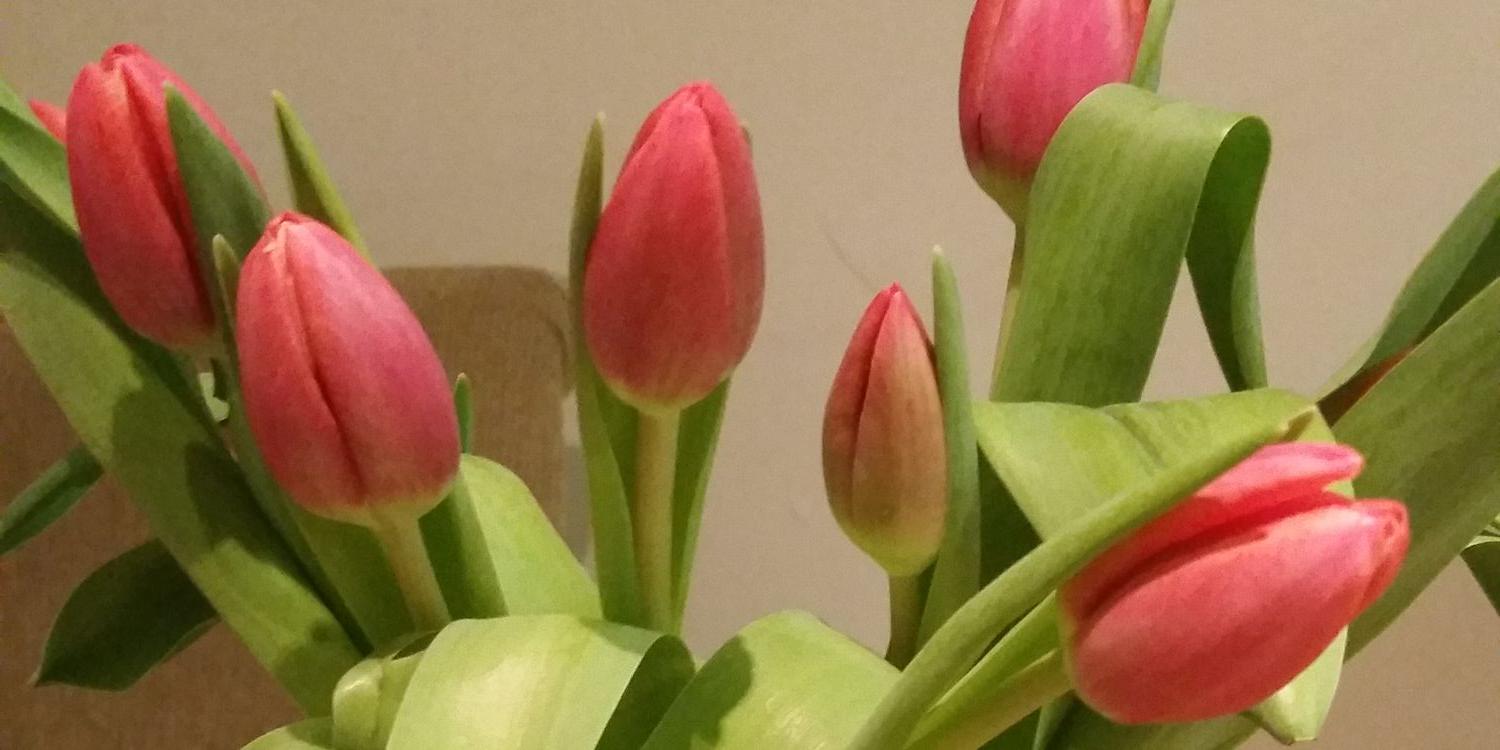 HamptonNJLady's profile banner image