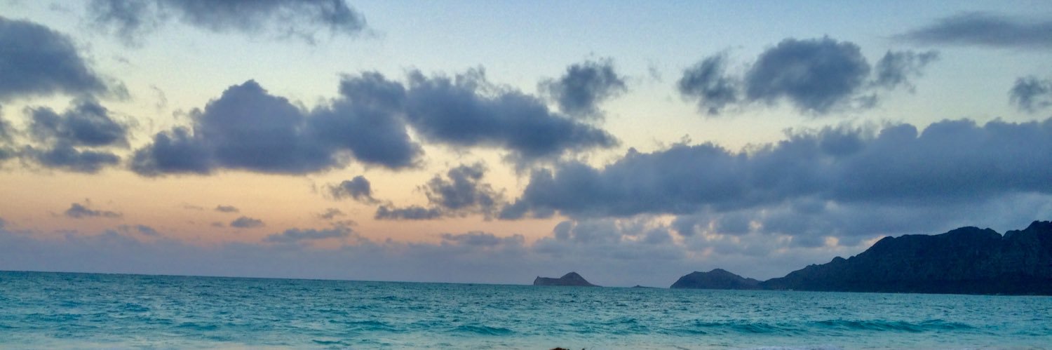 bbriannalee's profile banner image