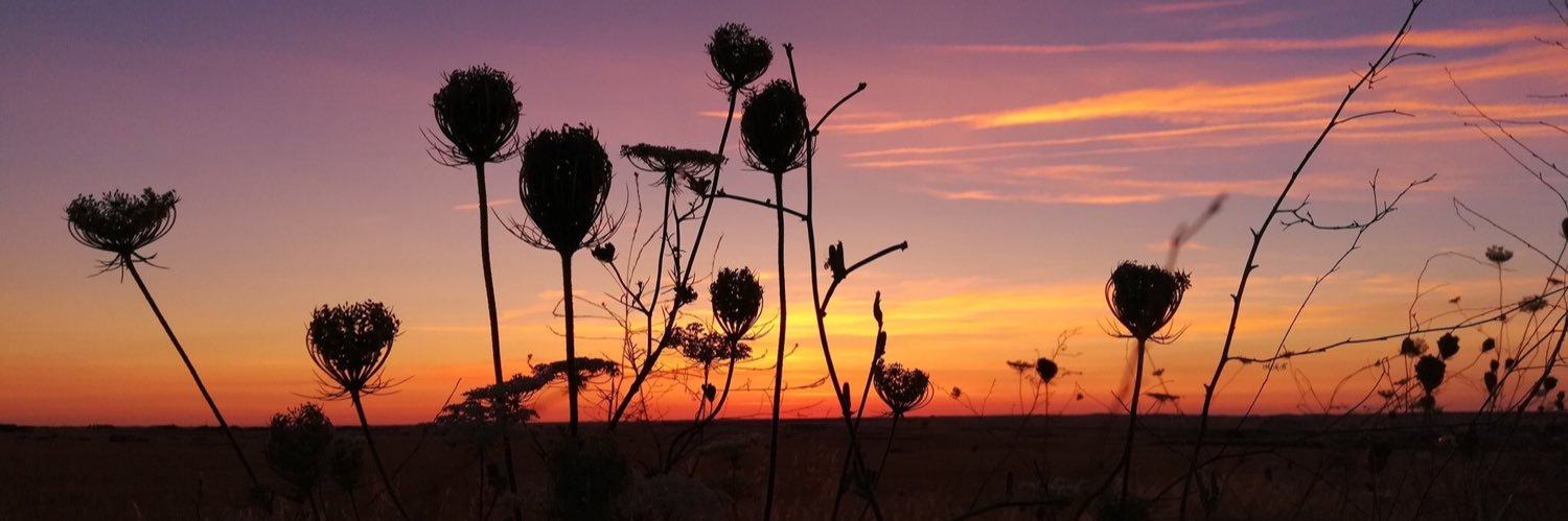 lorenutxa5's profile banner image