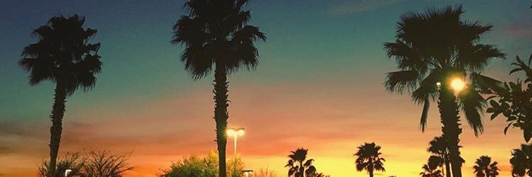 chrisnippersink's profile banner image