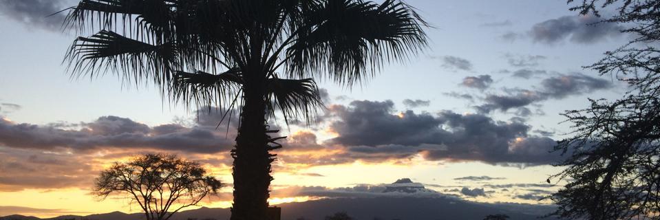 odenyojames's profile banner image