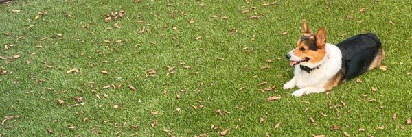 Dubflip Profile Banner