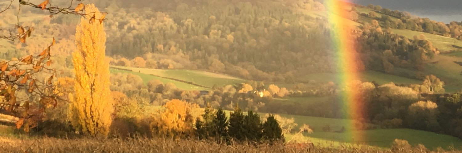 Andrew Stumpf banner