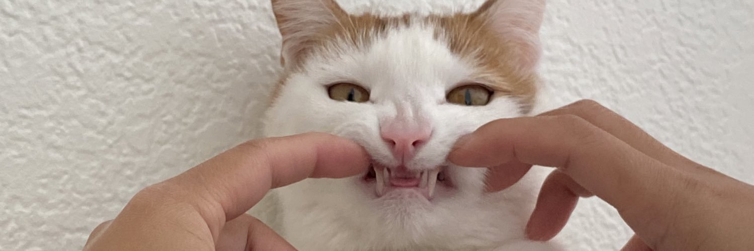 CatPawzz_'s profile banner image