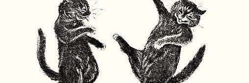 EvaAsdf1's profile banner image