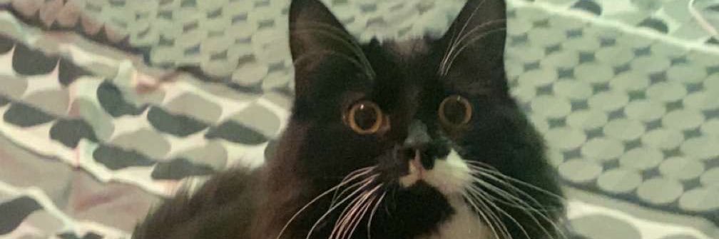 the loathsome dung eater banner