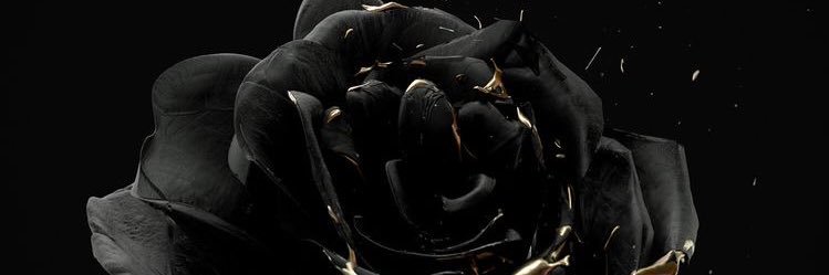 LiviaGates's profile banner image