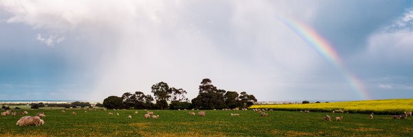 liamsluke Profile Banner