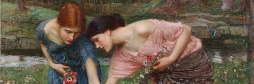 🌼offshorebella🌼 banner