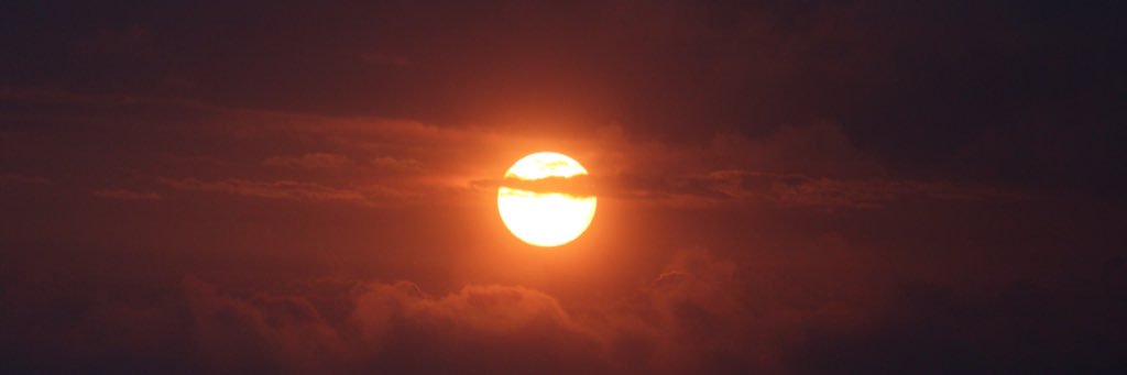 barbahrie's profile banner image