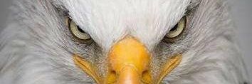 galma_ke's profile banner image