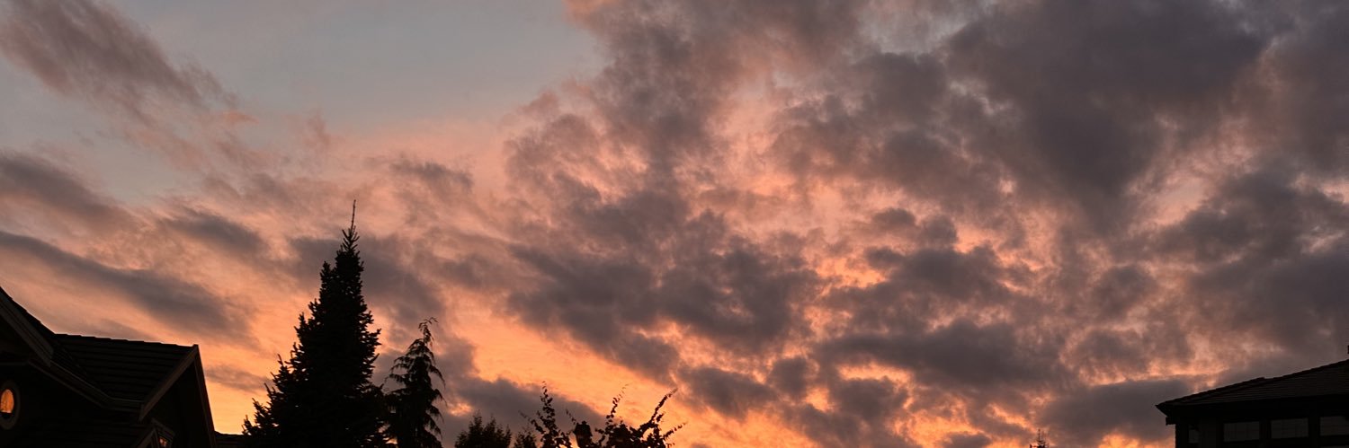 hotdawgmachine's profile banner image