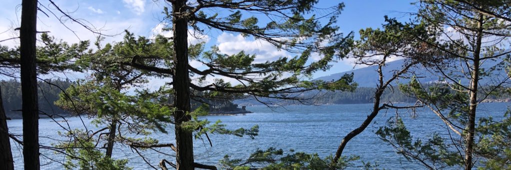 cameron burke banner