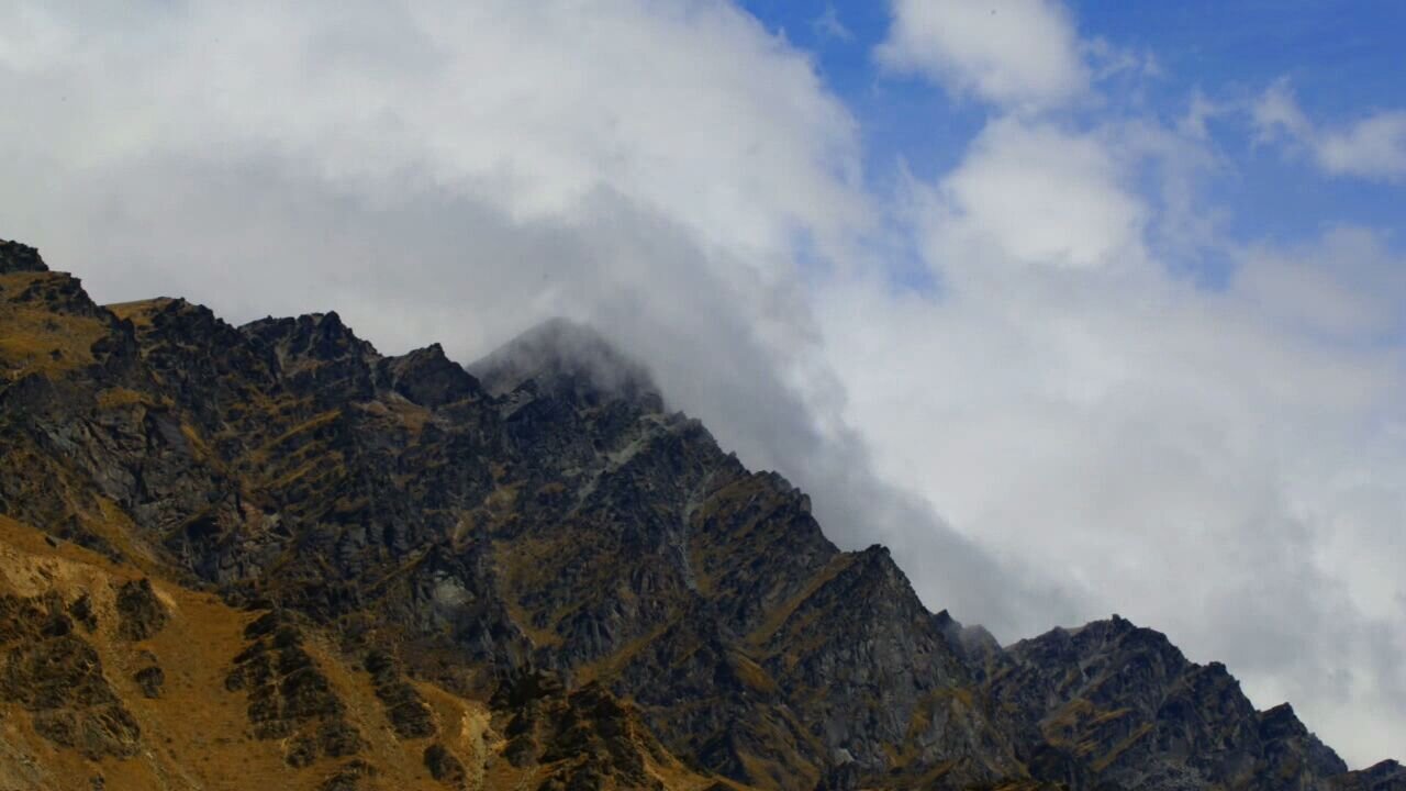king_shelf's profile banner image