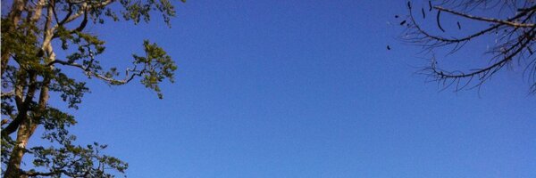 alicecharles Profile Banner
