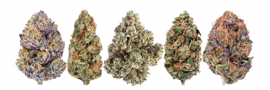 DopeFoto's profile banner image