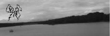chaca_666's profile banner image