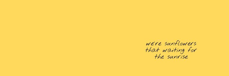 n_sunflowerose's profile banner image