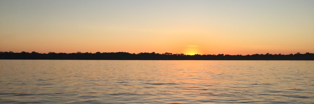 EMSchierbeek's profile banner image