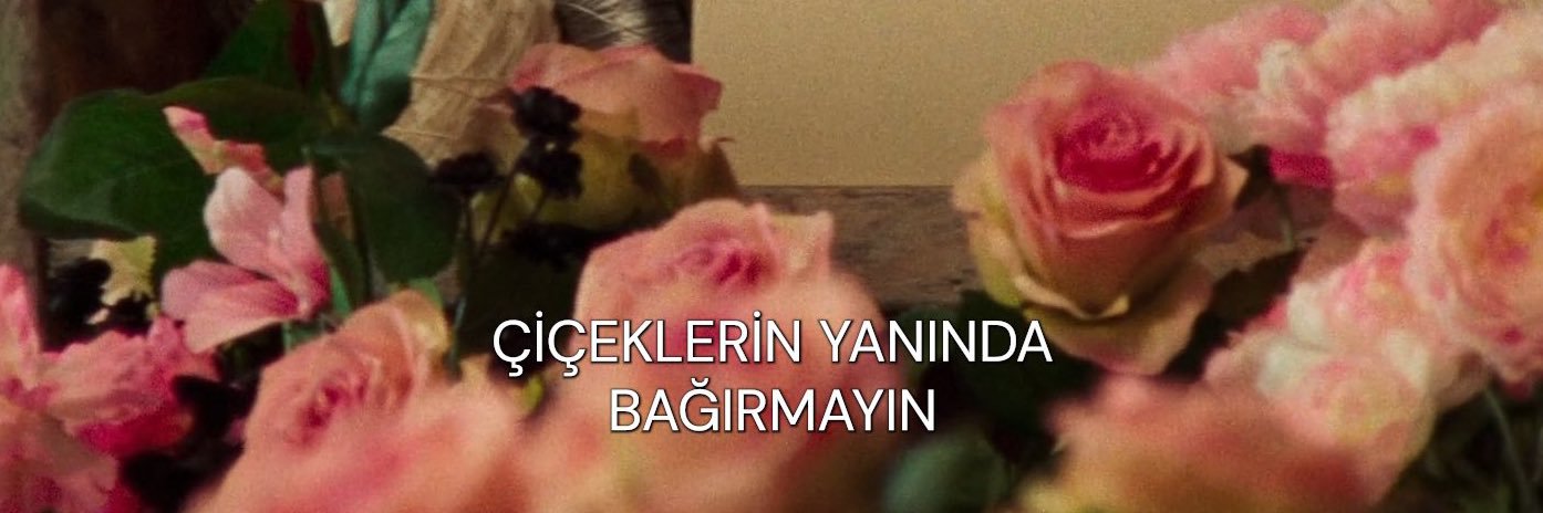 Sinemm__T's profile banner image