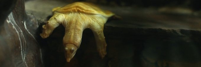 CLGHill's profile banner image