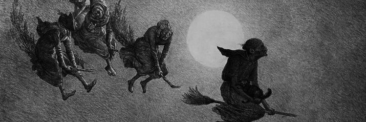 🕷 𝖆 𝖚 𝖙 𝖔 𝖛 𝖎 𝖚 𝖉 𝖆 🕷 banner