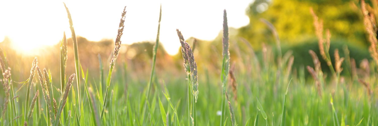 Gruene_OL's profile banner image