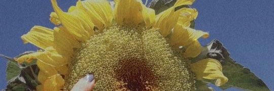 eunnesli's profile banner image