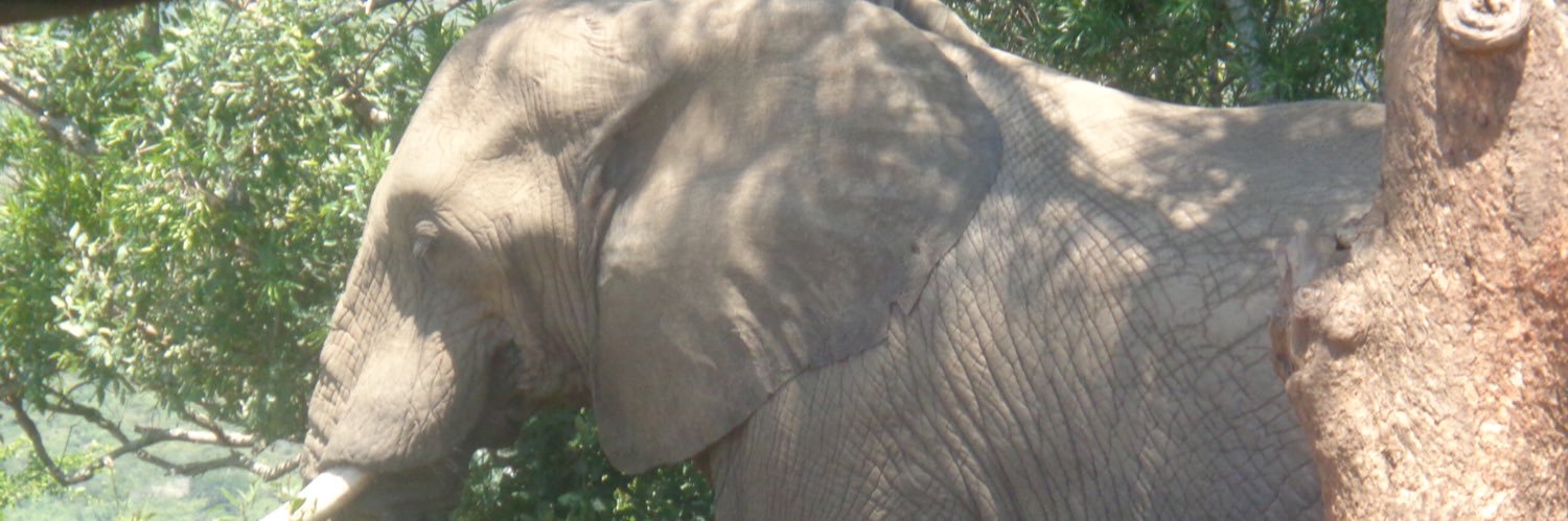 Michell80325320's profile banner image