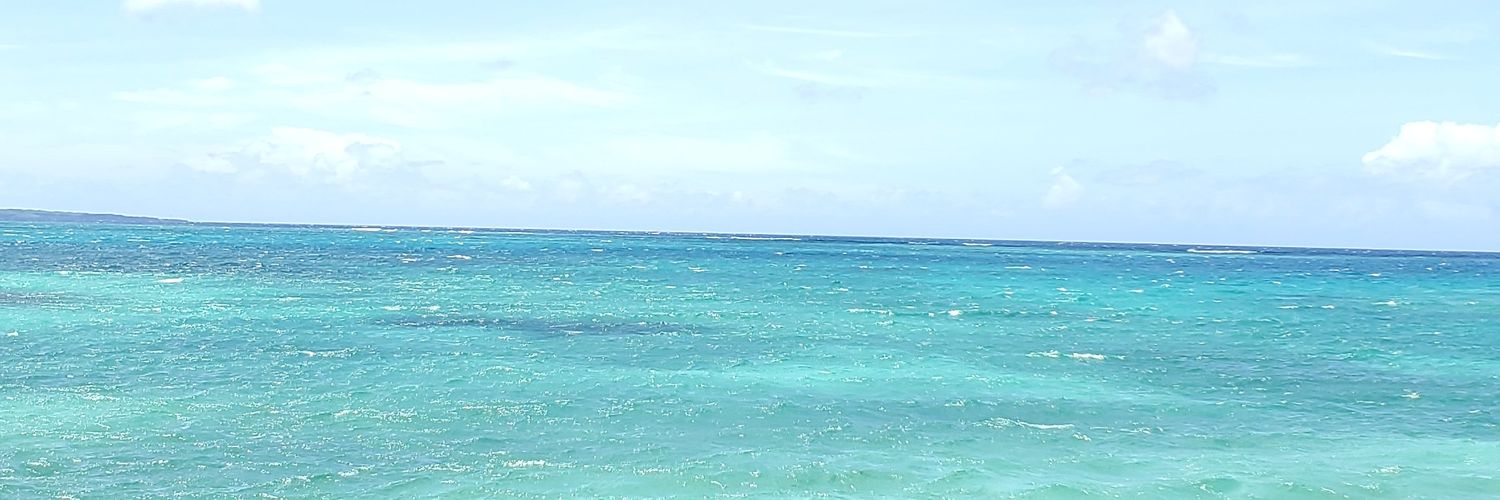 0358rinrin's profile banner image