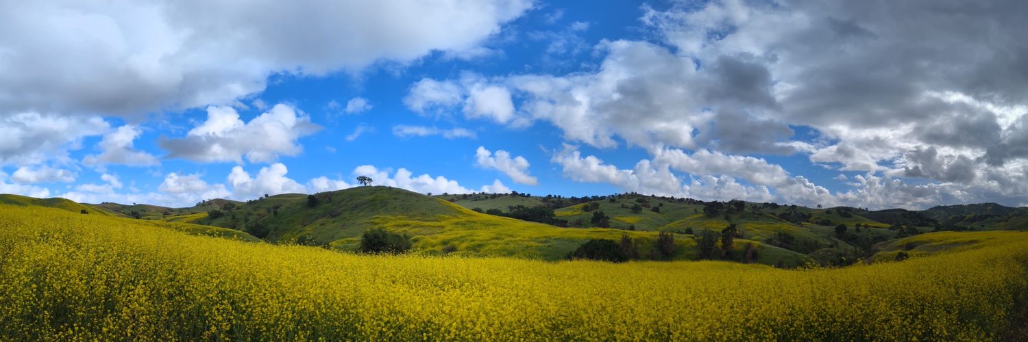 terrrramisu's profile banner image