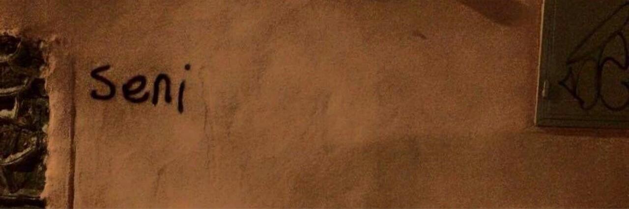 Bonnie Thomas banner