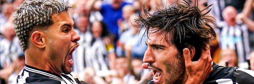 TPridgeoni's profile banner image
