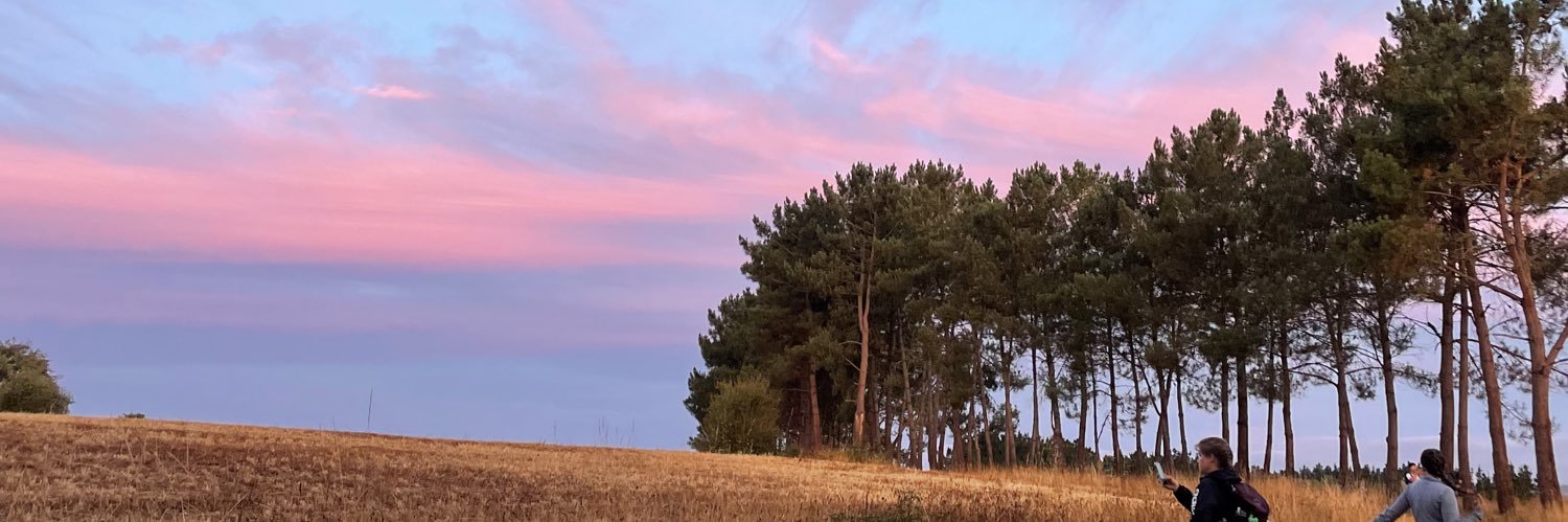 Bea López banner