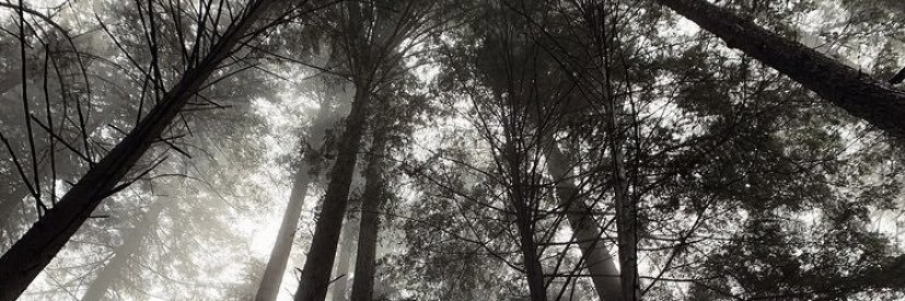whatheabby's profile banner image